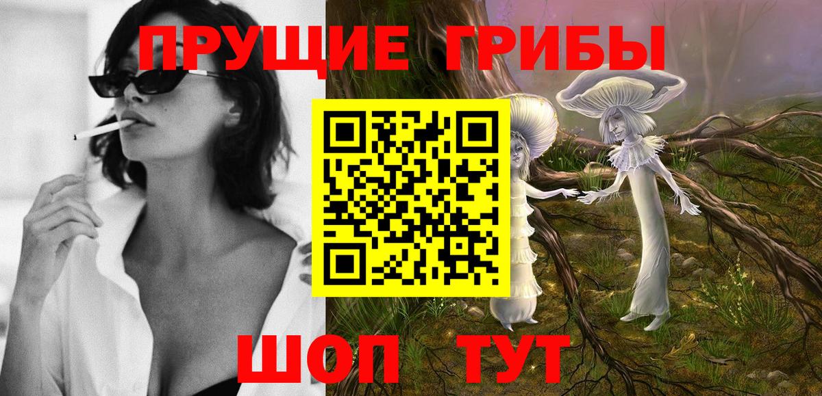 Псилоцибиновые грибы Psilocybine cubensis Скопин