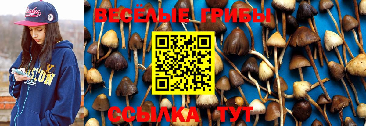 Галлюциногенные грибы мухоморы  Вход с VPN  Скопин 