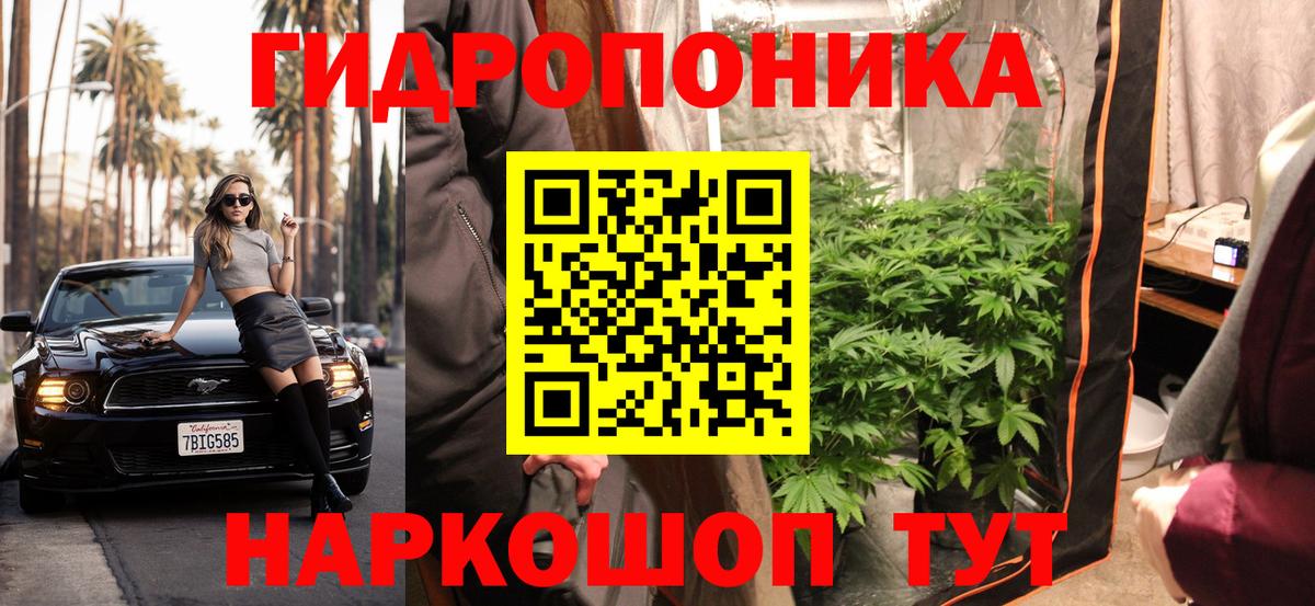 Каннабис семена Скопин